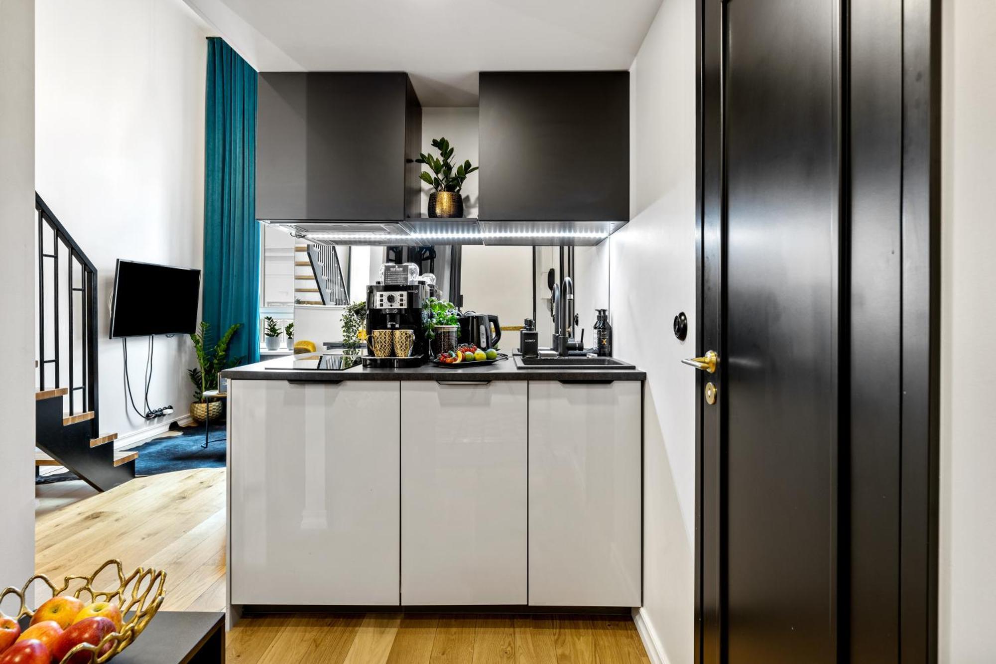Tempus Te Premium Duo Lofts - Private Cinema, Gym And Terrace Tartu
